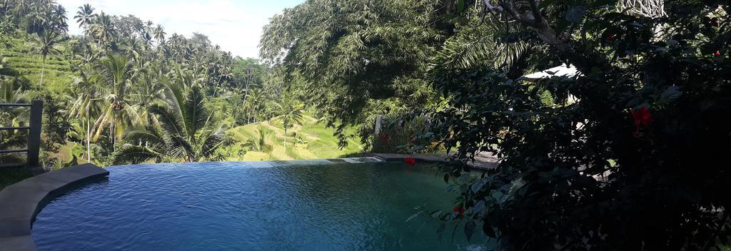 Villa Wedang Tegallalang  Esterno foto