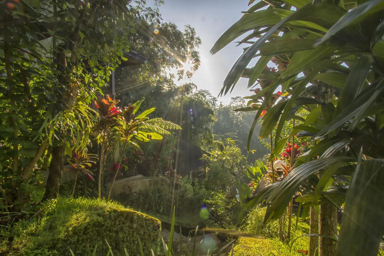 Villa Wedang Tegallalang  Esterno foto